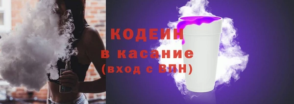 шишки Лабытнанги