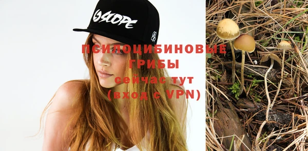 гашик Карпинск