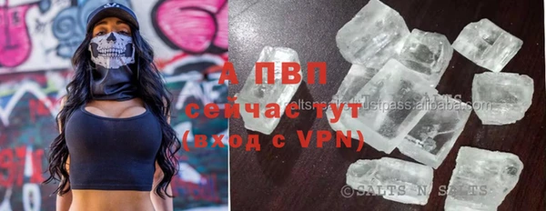 спиды Липки