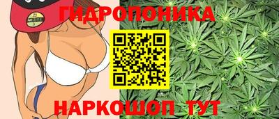 дмт Балашиха