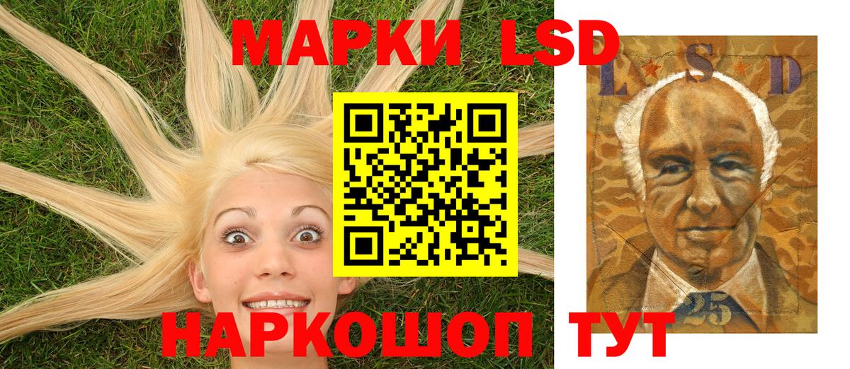 Псилоцибиновые грибы Новочебоксарск