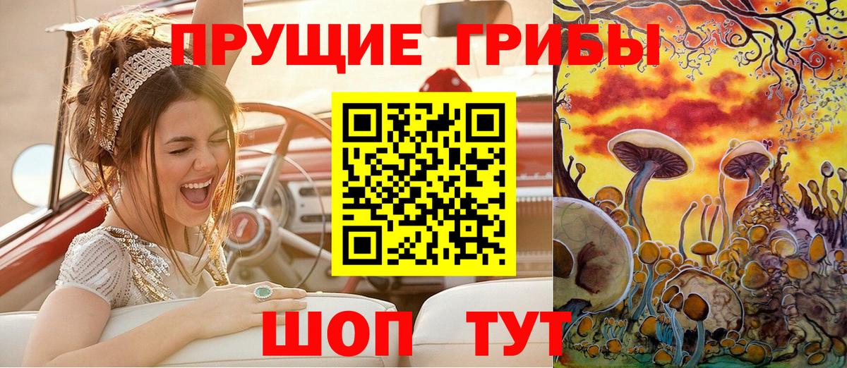 Псилоцибиновые грибы мицелий  Псилоцибиновые грибы мухоморы  купить   Новочебоксарск 