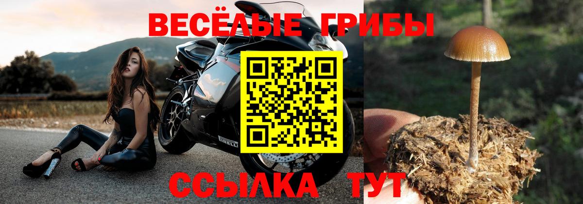 Новочебоксарск  Галлюциногенные грибы мицелий  Вход с VPN 