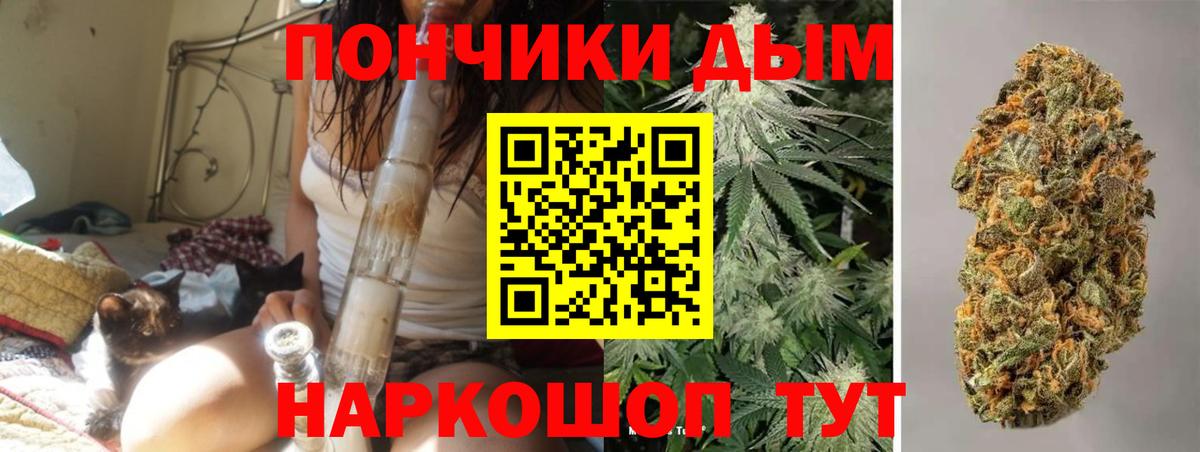 Канабис ГИДРОПОН  Каннабис сатива  МАРИХУАНА сатива  Конопля LSD WEED  Новочебоксарск  Вход с VPN 